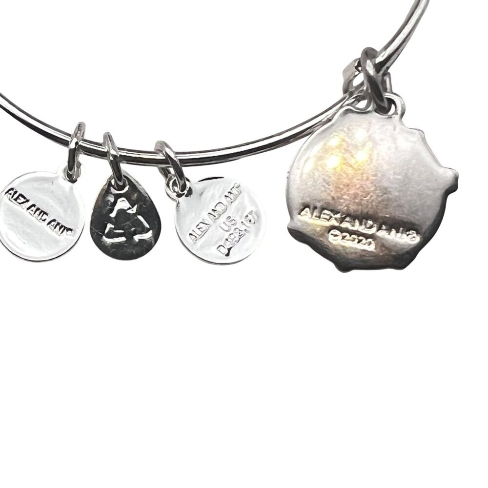 Alex And Ani Silver Tone Bangle Bracelet Happiness Blooms From Within Pink NWT - Picture 3 of 5